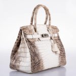 Hermes Birkin 30 Matte Himalayan Niloticus Crocodile Palladium Hardware - 2010, N Square - Image 3