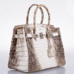 Hermes Birkin 30 Matte Himalayan Niloticus Crocodile Palladium Hardware - 2010, N Square - Image 4