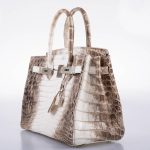 Hermes Birkin 30 Matte Himalayan Niloticus Crocodile Palladium Hardware - 2010, N Square - Image 5