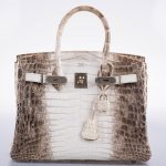 Hermes Birkin 30 Matte Himalayan Niloticus Crocodile Palladium Hardware - 2010, N Square - Image 6
