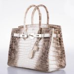 Hermes Birkin 30 Matte Himalayan Niloticus Crocodile Palladium Hardware - 2010, N Square - Image 7