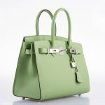 Hermes Birkin 30 Sellier Vert Criquet Madame Grain Palladium Hardware - 2020, Y - Image 7