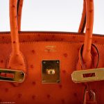 Hermes Birkin 30 Tangerine Ostrich with Gold Hardware - 2016, X - Image 8