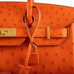 Hermes Birkin 30 Tangerine Ostrich with Gold Hardware - 2016, X - Image 15