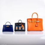 Hermes Birkin 30 Tangerine Ostrich with Gold Hardware - 2016, X - Image 13