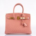 Hermes Birkin 30 Terre Cuite Ostrich Gold Hardware - 2020, Y - Image 5