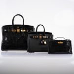 Hermes Birkin 35 Black Shiny Porosus Crocodile with Gold Hardware - 2017, A - Image 12