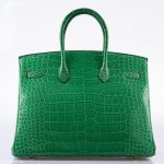 Hermes Birkin 35 Cactus Matte Alligator Gold Hardware - 2014, R - Image 11