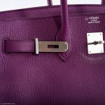 Hermes Birkin 35 HSS Cyclamen & Iris Chèvre Goatskin Brushed Palladium Hardware - 2009 M, Square - Image 8