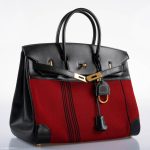Hermes Birkin 35 Red Potamos Canvas & Black Box with Gold Hardware - 2006, J Square - Image 4