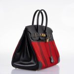 Hermes Birkin 35 Red Potamos Canvas & Black Box with Gold Hardware - 2006, J Square - Image 5