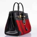 Hermes Birkin 35 Red Potamos Canvas & Black Box with Gold Hardware - 2006, J Square - Image 6