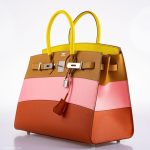 Hermes Birkin 35 Sellier "Sunrise" Rainbow Epsom Palladium Hardware - 2020, Y - Image 8