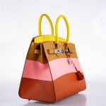 Hermes Birkin 35 Sellier "Sunrise" Rainbow Epsom Palladium Hardware - 2020, Y - Image 9