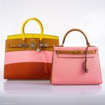 Hermes Birkin 35 Sellier "Sunrise" Rainbow Epsom Palladium Hardware - 2020, Y - Image 6