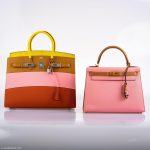 Hermes Birkin 35 Sellier "Sunrise" Rainbow Epsom Palladium Hardware - 2020, Y - Image 7