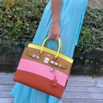Hermes Birkin 35 Sellier "Sunrise" Rainbow Epsom Palladium Hardware - 2020, Y - Image 16