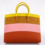Hermes Birkin 35 Sellier "Sunrise" Rainbow Epsom Palladium Hardware - 2020, Y - Image 18