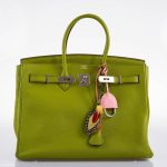 Hermes Birkin 35 Vert Anis Togo with Palladium Hardware - 2006, J Square - Image 10