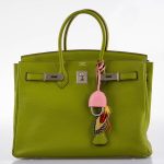 Hermes Birkin 35 Vert Anis Togo with Palladium Hardware - 2006, J Square - Image 5