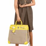 Hermes Birkin 40 HAC Lime & Ficelle Evercolor Toile De Camp Palladium Hardware - Image 6
