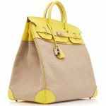 Hermes Birkin 40 HAC Lime & Ficelle Evercolor Toile De Camp Palladium Hardware - Image 3