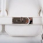 Hermes Birkin 40 HAC White Togo Palladium Hardware - Image 7