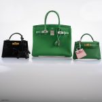 Hermes Birkin Touch 30 Bambou (Bamboo) Togo & Cactus Niloticus Crocodile Palladium Hardware - 2020, Y - Image 3