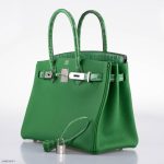 Hermes Birkin Touch 30 Bambou (Bamboo) Togo & Cactus Niloticus Crocodile Palladium Hardware - 2020, Y - Image 8